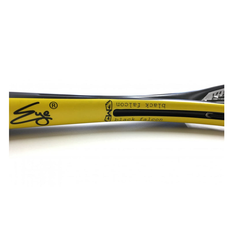 Eye V Lite 125 Control shaft